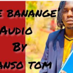 Naye Banange audio by TomDee MYJPGcgAj4w 140 mp3 image