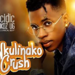 Nkulinako Crush by Acidic Vokoz Official Lyrics