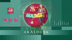 Akaloosa Yaled Official Music Visualizer  advV5Mklhrg 140 mp3 image