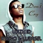 Don't Cry Lyrics - Wiz Kid