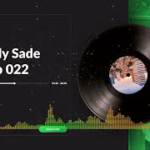 St. Nelly-sade - Rap Up 2022